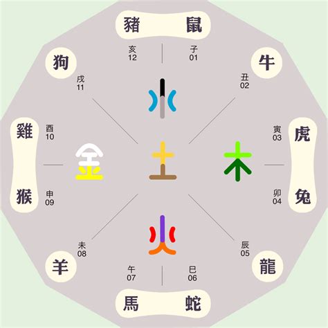 紫字五行